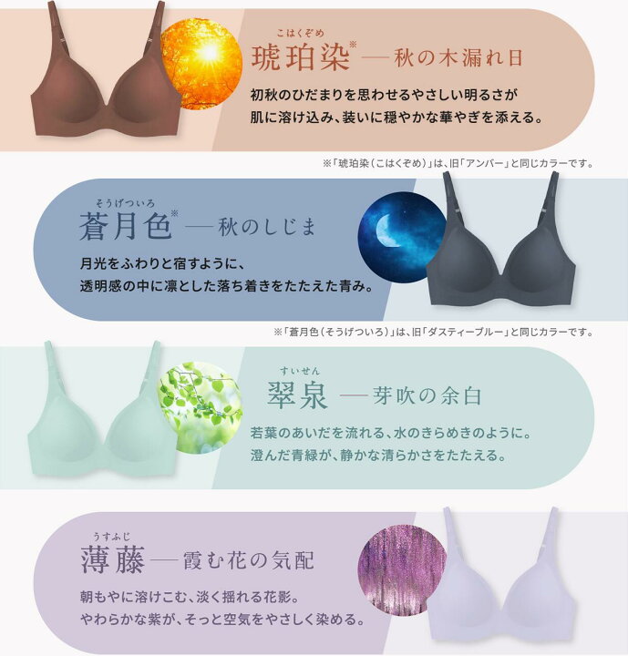 楽天市場】マラソン10%OFF☆まとめ買いで最大25%OFF☆ もちフィット 
