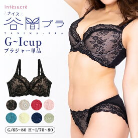 【SALEカラーあり】アンテシュクレ intesucre ナイス谷間ブラ ブラジャー単品 全8色 GHIカップ/アンダー65・70・75・80cm EBT001