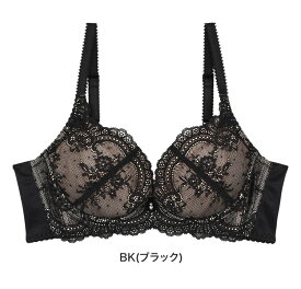 【SALEカラーあり】アンテシュクレ intesucre ナイス谷間ブラ ブラジャー単品 全8色 GHIカップ/アンダー65・70・75・80cm EBT001