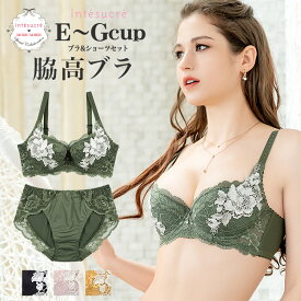 【50％OFF】アンテシュクレ intesucre 脇高ブラ Premium ブラセット 全4色 G/65-80 IBT326