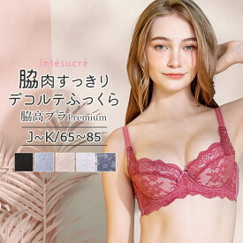 アンテシュクレ intesucre レベッカ 脇高ブラ Premium ブラジャー単品 全4色 JK/65-85 TBT002A