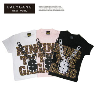 zZ[yxr[MOzmOTVc[70cm/80cm/90cm]@xr[@uh@n[to[Xf[@ߑ@1Βa@oYj@v[g@Ԃ@xr[@