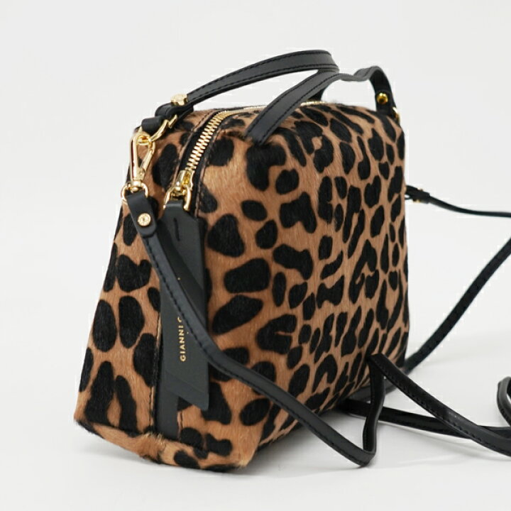 楽天市場】GIANNI CHIARINI ジャンニキャリーニ ALIFA M BS8148 LEO 