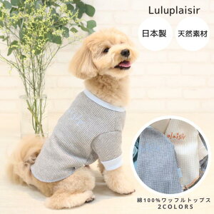 y{z100btgbvXFybgEFA ObY  H gCv[h ` ~j`AViEU[ V[Y[ |jA  ^^ Mtg v[g 