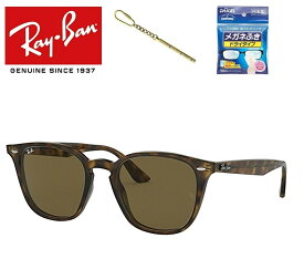 Ray-Ban レイバン れいばん サングラス RB4258F 710/73 52サイズ RayBan 71073 アジアフィット メンズ レディース ユニセックス おしゃれ ドライブ 運転 アウトドア 「国内正規商品」「保証付き」 「ミニドライバー ＋ ドライタイプメガネ拭き付属」