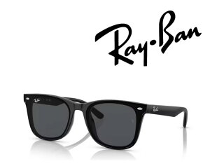 Ray-Ban TOX Co ꂢ΂ AWAGA胂f RB4391D 601/87 65TCY t[J[ ubN@YJ[ _[N O[ AWAtBbg uKivuۏ؃J[hv