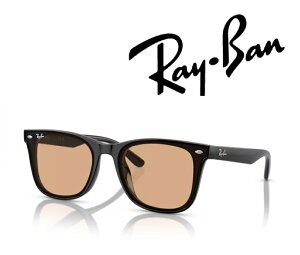 Ray-Ban TOX Co ꂢ΂ AWAGA胂f RB4391D 601/93 65TCY t[J[ ubN@YJ[ uE AWAtBbg uKivuۏ؃J[hvu~j