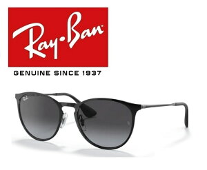 Ray-Ban Co RAYBAN TOX RB3539 002/8G 54TCY ERIKA METAL / GJ^ {Xg ICONS ACR 0028G Y fB[X  hCu ^] AEghA uKivuۏؕt