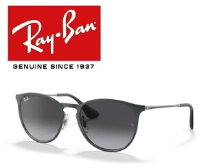 Ray-Ban Co RAYBAN TOX RB3539 192/8G 54TCY ERIKA METAL / GJ^ {Xg ICONS ACR 1928G Y fB[X  hCu ^] AEghA uKivuۏؕt