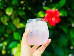 _ŒZoׁ^  OX OX KX OX  PGO glass art Okinawa rAOX nC{[ r[ 350ml 350~ q@qpOX LbY Mtg 킢 ĒOX 