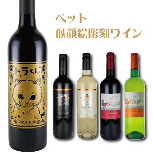 ドリンク ボトル かわいい ワインの人気商品 通販 価格比較 価格 Com ドリンク ボトル かわいい ワインの人気商品 通販 価格比較 価格 Com