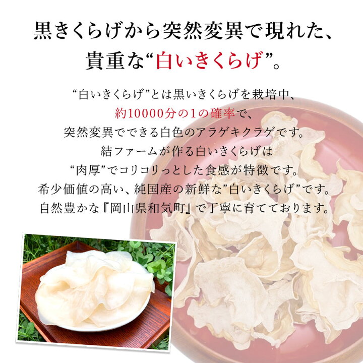 楽天市場 きくらげ 結きくらげ 40g 高級品 白きくらげ 白キクラゲ 白いきくらげ肉厚でコリコリ ビタミンdは黒きくらげの約10倍 必須アミノ酸 食物繊維 カルシウム木耳 キクラゲ 乾燥 国産 岡山 結ファーム パワーフード 健康 送料無料 Uf 902 ギフト Sunrペット