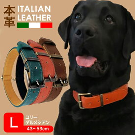 ペット 首輪 Lサイズ 牛革 犬 イタリア製牛革 マイクロスエード 本革 高強度Dカン 首回り43～53cm 犬用首輪 ボーダーコリー ダルメシアン 大型犬 いぬ イヌ あす楽 チャーム用金具 おしゃれ プレゼント UP-640 ギフト 父の日 花以外