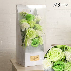 \[vt[  َq    J[ht  XC[c Zbg R[q[  ybg  t[ o KN p[v  Ό   ԗi 䕧O ~ V~ 