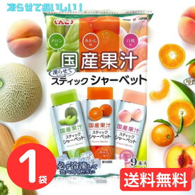 しんこう 国産果汁スティックシャーベット 1袋 9本入 メロン みかん 白桃 マンゴー いちご マスカット 送料無料 T-076 ハロウィン