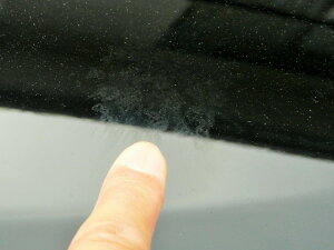 楽天市場 車のボディケア専用カークリーナー 虫汚れ 鳥ふんクリーナー300ｍｌ 車に付いたしつこい虫汚れ 鳥フン 花粉を簡単に落とす Msh ハイブリッドナノガラス楽天市場店