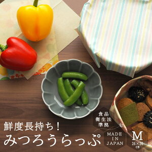 ݂낤 MTCY X GR bv Y { Hiq@ R ێ AEghA G}[WFV[ TXeiu JԂg 􂦂 Hip Hibv  ʕ ۑ ۊ 