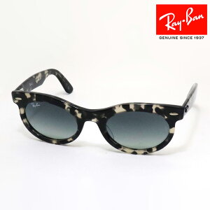 NewModel KCo Co TOX WAYFARER OVAL EFCt@[[ I[o Ray-Ban RB2242F 133371 53 fB[X Y RayBan xtY xtTOX O[n