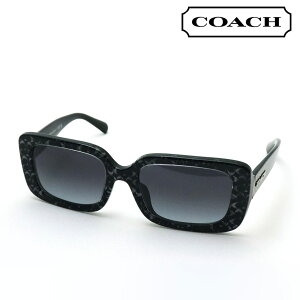 v~AYIf yR[` Ό TOX K̔XzCOACH TOX HC8380U 55208G 54 fB[X XNGA ubNn