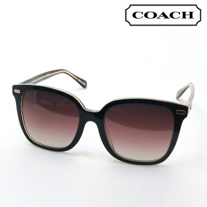 yR[` TOX K̔XzCOACH TOX HC8381F 5781E2 fB[X XNGA ubNn