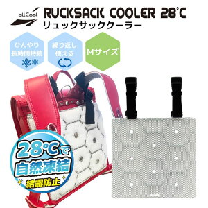 allCool 28PCMbNTbNN[[ MTCY AC-RSC002M-GY hZ Y fB[X jZbNX LbY WjA ʋ ʊw ΍ MǑ΍