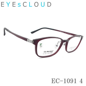 EYEs CLOUD ACNEh Kl t[ EC-1091 Col.4 ዾ y ɒBKl xt _[Nbh Y