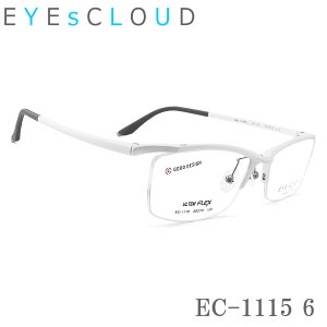 EYEs CLOUD ACNEh Kl t[ EC-1115 Col.6 ዾ y ɒBKl xt }bgp[zCg Y n[t