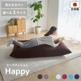 ビーズクッション 特大 洗える カバー ソファ クッション ベッド 大きい 座椅子 コンパクト 軽量 おしゃれ かわいい 一人暮らし ワンルーム イーノ