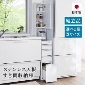 ステンレス天板 すき間収納庫 コンセント付き 下台完成品 20cm 25cm 30cm 35cm 40cm コンパクト 収納 おしゃれ 完成品 隙間収納 キッチン 冷蔵庫横 洗面所 seiri 日本製 送料無料 家具インテリア GLASSY