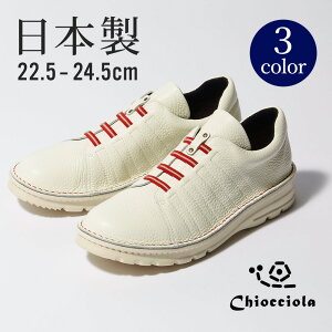 [LIb`]JAL IWi { C^AU[ y Xj[J[ iCAjLrAe_g vf[X C CA LIb`×JALIWi