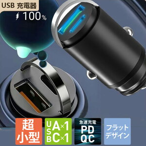 VK[\Pbg USB [d typeA typeC 2|[g 30W X}z iPhone Android USB-C ^CvC USB-A J[`[W[ RpNg y X oȂ PD3.0 QC3.0 2|[g