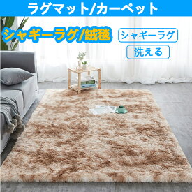 ラグマット カーペット 200cm×240cm 洗える 絨毯 シャギーラグ ラグ オールシーズン 長方形 大判 玄関マット リビング