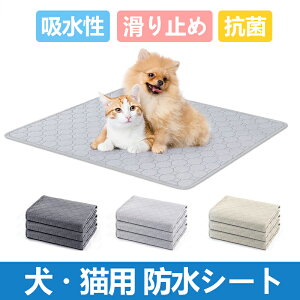 ybg}bg p}bg}bgybgphV[g  Lp ې􂦂 z ~ R V[g gC~}bg pbh 􂦂邨}bg xbg