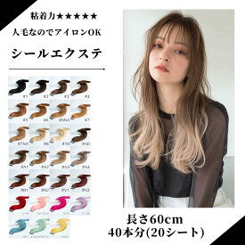 60cm 人毛シールエクステ 40本分（20シート) メール便で送料無料！ 人毛100% ハイライト ワンタッチ インナーカラー メッシュ　セルフ