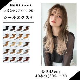 45cm 人毛シールエクステ 40本分（20シート) メール便で送料無料！ 人毛100% ハイライト ワンタッチ インナーカラー メッシュ　セルフ