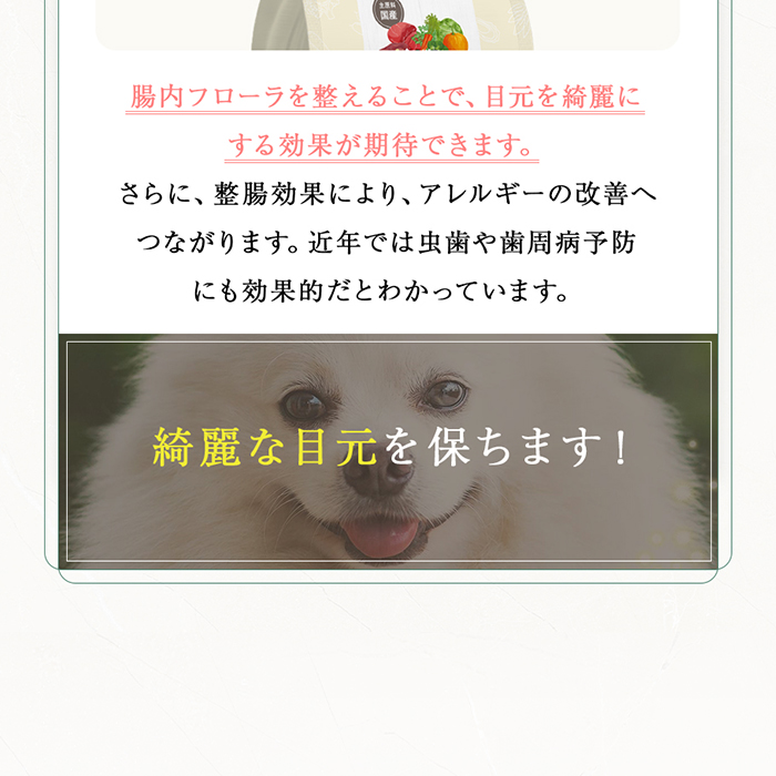 楽天市場】【公式】【単品】ミシュワン MISHONE 小型犬用 プレミアム