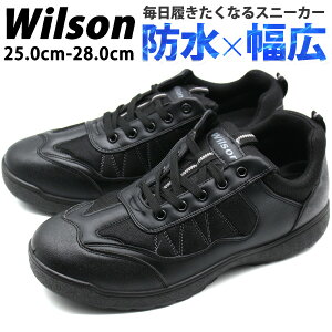 Xj[J[ Y C Xb| h L 3E NbV  J J̓ ubN  ᔽ RȂ ɂ EB\ Wilson 1901 1902