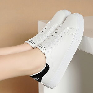 Xj[J[ fB[X [Jbg C X|[c  JWAC EH[LO ʋΒʊw