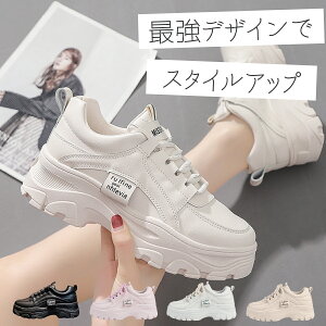 Xj[J[ fB[X V[Y _bh Xj[J[ ؍ EH[LOV[Y  Xj[J[ C   sN x[W 킢 lC