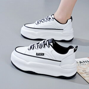 Xj[J[ fB[X C X|[cV[Y V[Y ~ h r r ₷ Ȃ ɂȂ ʋC Vv ʋ ʊw 