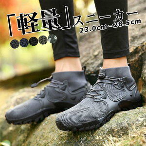 gbLOV[Y oRC Y fB[X nCbg bV Xj[J[ C V[Y EH[LOV[Y oR AEghA y Ȃ