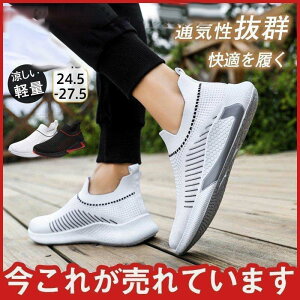 YXj[J[  ^p V[Y bV ʊwC ^C y ʋCQ AEghA ~  Ȃ  ₷