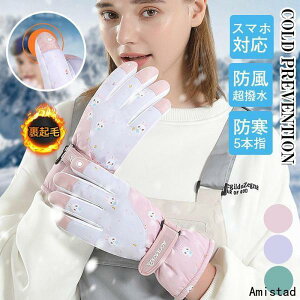 XL[O[u  fB[X N Xm[O[u h 5{w  V h XL[ [u EB^[X|[c X}zΉ