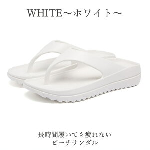 r[`T_  Ȃ ɂȂ @  fB[X Y gOT_ Jo[T_  O i