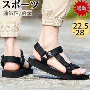 T_ Y  X|[cT_ YT_ fB[X r[`T_ Jbv ʋC AEghA ~ JWA s ނ