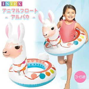 Aj}t[g ApJ  q LbY O^   INTEX CebNX t[g v[ C W[ V  f O^  