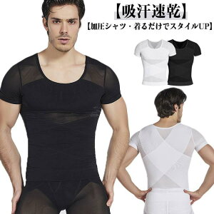 Vc  TVc ␳ TVc Vc  g[jOEFA X|[cCi[ RvbVVc  C