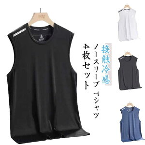  ^Ngbv Y   hC TVc 傫TCY m[X[u z X|[cEFA ȂTVc n bV ^