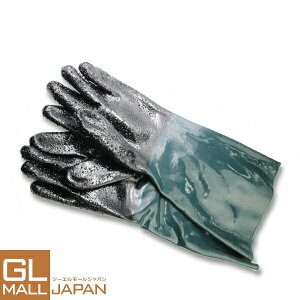 y10/28`10/31 SiP5{zThuXgO[u() ThuXgLrlbgp / ThuX^[ Tr h KX