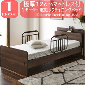 【SPセール終了まで2000円OFFクーポン配布中】 マットレス付き 電動ベッド 1モーター 宮付き OKIN社製モーター 介護向け 1モーターベッド 電動リクライニングベッド 介護ベット 電動ベット 介護ベッド リクライニング glo 【エルド】 glo-t40-3a-erudo-br-1moto【玄関渡し】